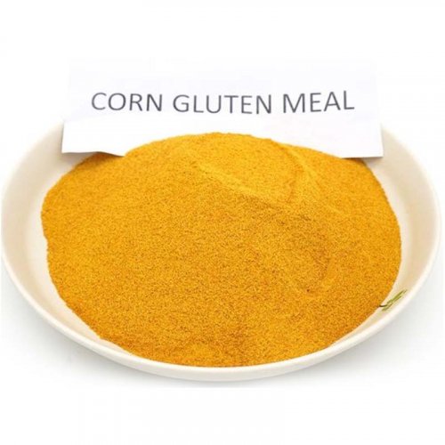 Corn Gluten Meal_Corn germ meal Products_Corn Gluten Meal Manufacturers